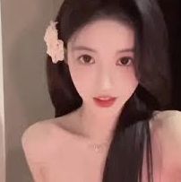 案例摘要
